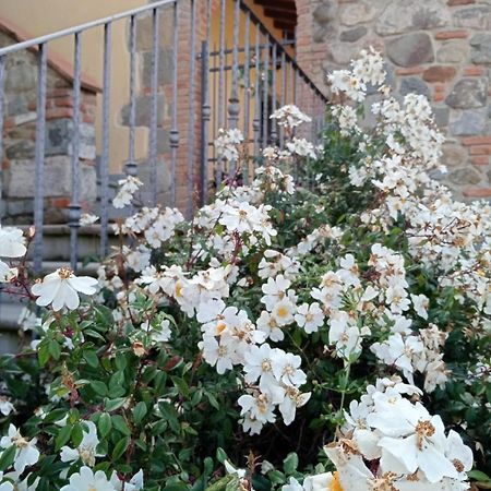 Appartamento Olivella Reggello Bagian luar foto