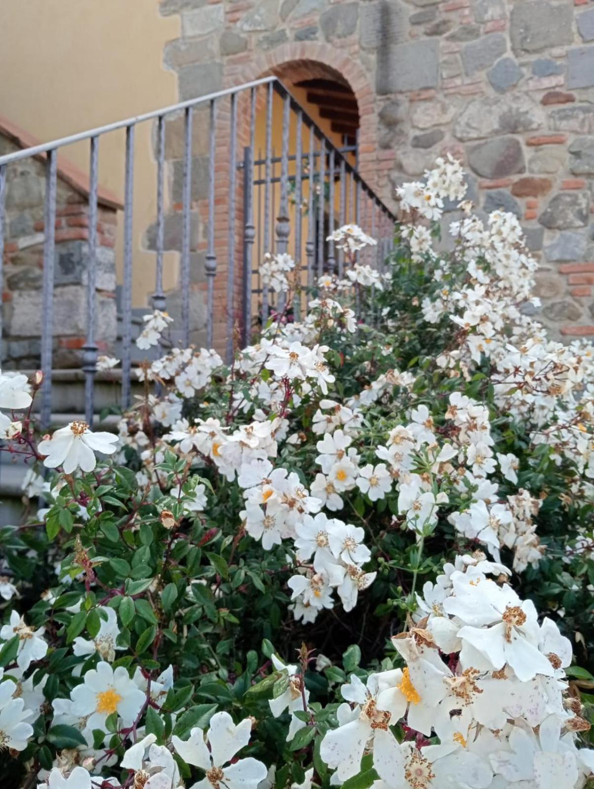 Appartamento Olivella Reggello Bagian luar foto
